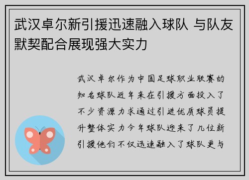 武汉卓尔新引援迅速融入球队 与队友默契配合展现强大实力