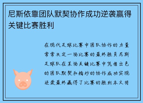 尼斯依靠团队默契协作成功逆袭赢得关键比赛胜利